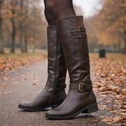 Lilley Womens Brown Buckle Knee High Zip Up Boot (Click For Details)