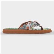 Rocket Dog Adios Berlin Womens Multi EVA Flip Flop (Click For Details)