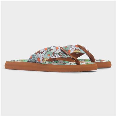Adios Berlin Womens Multi EVA Flip Flop
