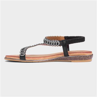 Novella Womens Black Sandal