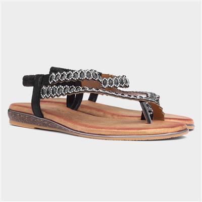 Novella Womens Black Sandal
