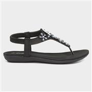 Lilley Womens Black Jewel Toe Post Sandal (Click For Details)