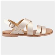 Divaz Sienna Womens Gold Sandal (Click For Details)