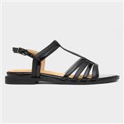 Lilley & Skinner Monaco Womens Black Sandal (Click For Details)