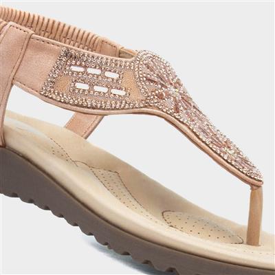 Womens Blush Toe Post Sandal