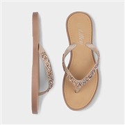 Lilley Womens Nude Diamante Toe Post Sandal (Click For Details)