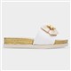 Product Image Added To Bag