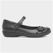 Walkright Cassidy Girls Black Flower School Shoe (Click For Details)