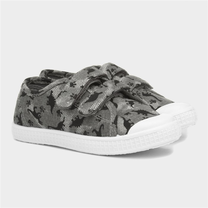 Lyle Boys Grey Dinosaur Print Canvas
