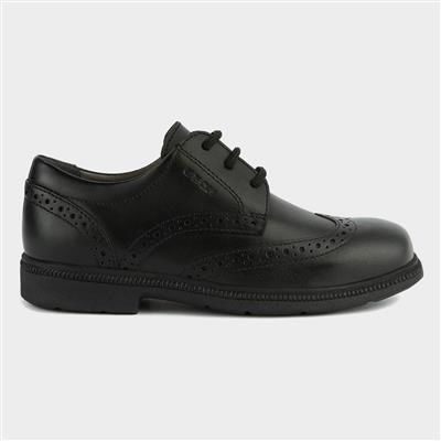 Boys Federico School Shoe in Black