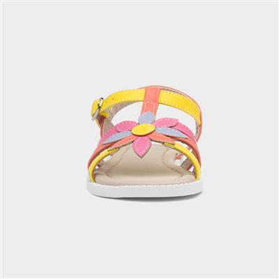 Girls Multi Coloured Flower Sandal