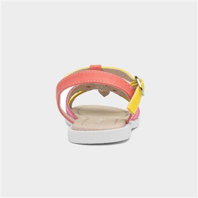 Girls Multi Coloured Flower Sandal