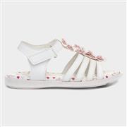 Walkright Girls White Sandal with Flowers (Click For Details)