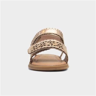 Delamere Girls Gold Easy Fasten Sandal