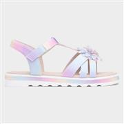Walkright Charlotte Girls Multi T-Bar Sandal (Click For Details)