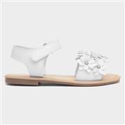 Walkright Faron Kids White Flower Sandal (Click For Details)