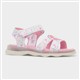 Product Image Added To Bag