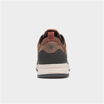 Daniel Mens Brown Lace Up Casual Shoe