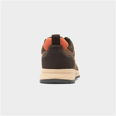 Andy Mens Brown Casual Lace Up Shoe