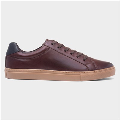 Colton Mens Coffee Leather Shoe