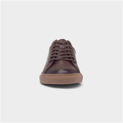 Colton Mens Coffee Leather Shoe