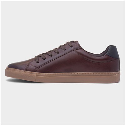 Colton Mens Coffee Leather Shoe
