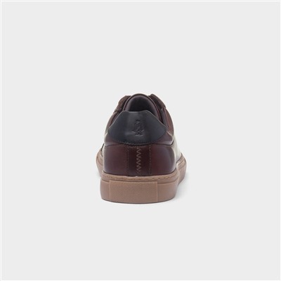Colton Mens Coffee Leather Shoe