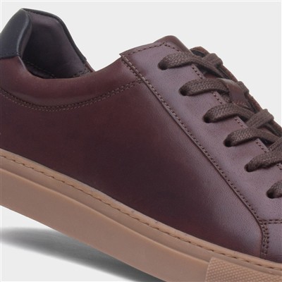 Colton Mens Coffee Leather Shoe