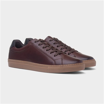 Colton Mens Coffee Leather Shoe