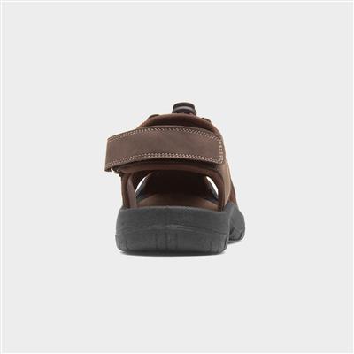 Mens Brown Closed Toe Gladiator Sandal