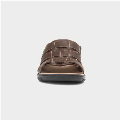 Elmer Mens Brown Mule Sandal
