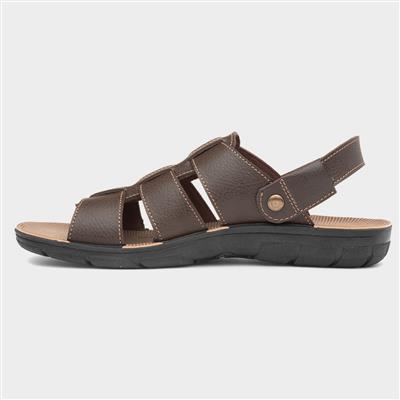 Elmer Mens Brown Mule Sandal