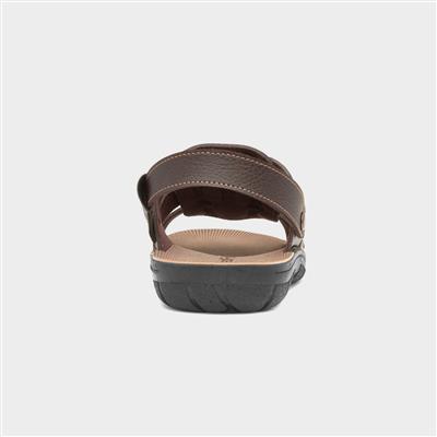 Elmer Mens Brown Mule Sandal