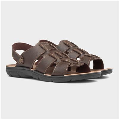 Elmer Mens Brown Mule Sandal