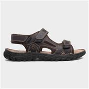 Lotus Douglas Mens Brown Leather Sandal (Click For Details)