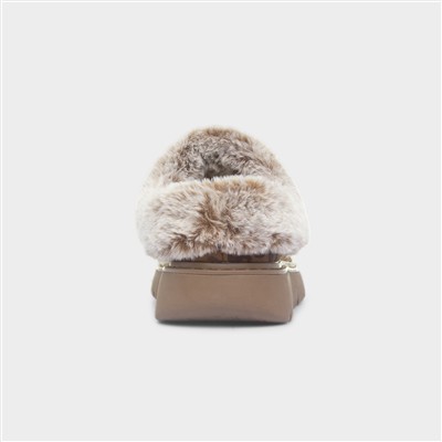 Bobs Keepsakes Womens Leopard Slipper