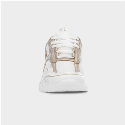 Daley Girls White & Gold Lace Up Trainer