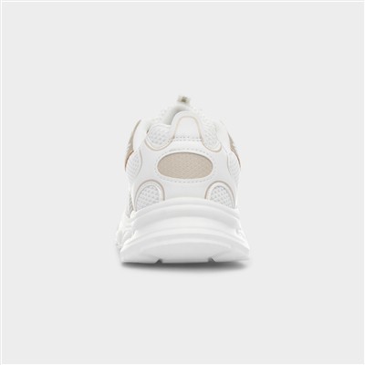 Daley Kids White & Gold Lace Up Trainer