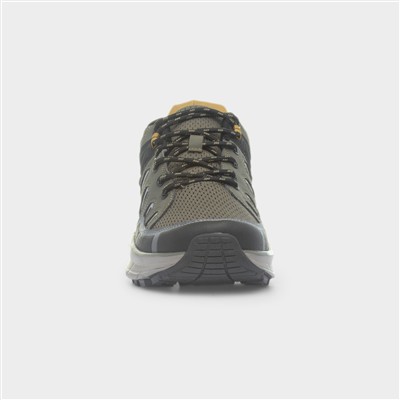 Whiteside Mens Khaki Lace Up Trainer