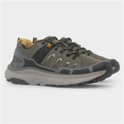 Whiteside Mens Khaki Lace Up Trainer