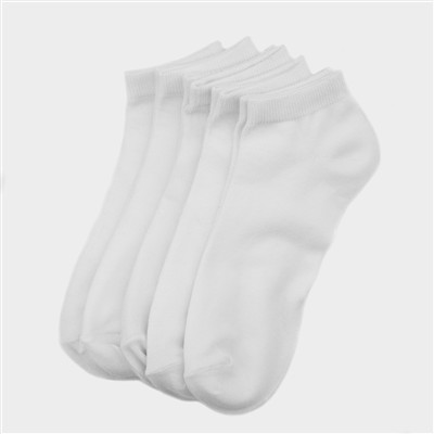 5 Pack White Trainer Socks Sizes 7-11