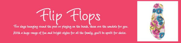 What are Flip Flops?
