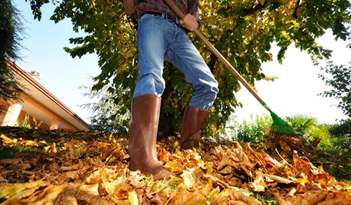 best-shoes-for-gardening